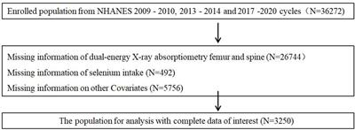 Association of selenium intake with bone mineral density and osteoporosis: the national health and nutrition examination survey